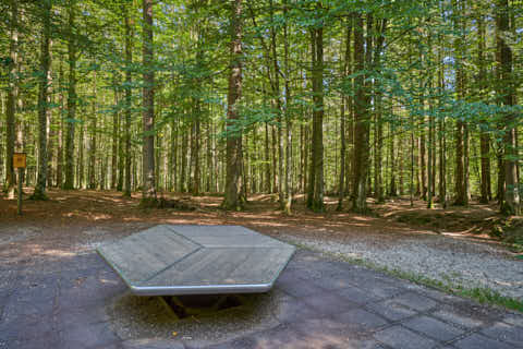 Gemeinde Spiegelau Landkreis Freyung-Grafenau Waldspielplatz (Dirschl Johann) Deutschland FRG
